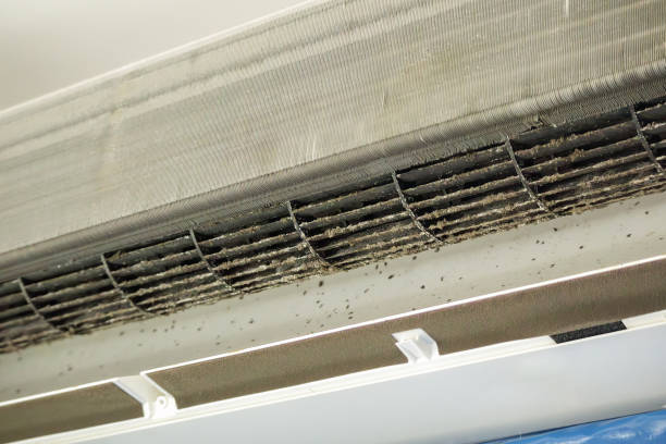 Best Affordable HVAC Duct Cleaning  in Fort Madison, IA